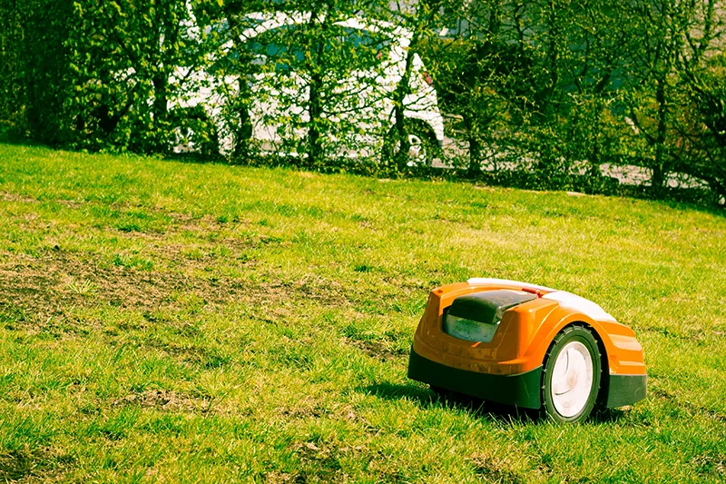 Orangefarbener Mähroboter schneidet an einem sonnigen Tag einen leicht fleckigen grünen Rasen. Im Hintergrund sind Büsche und ein geparktes Auto zu sehen.
